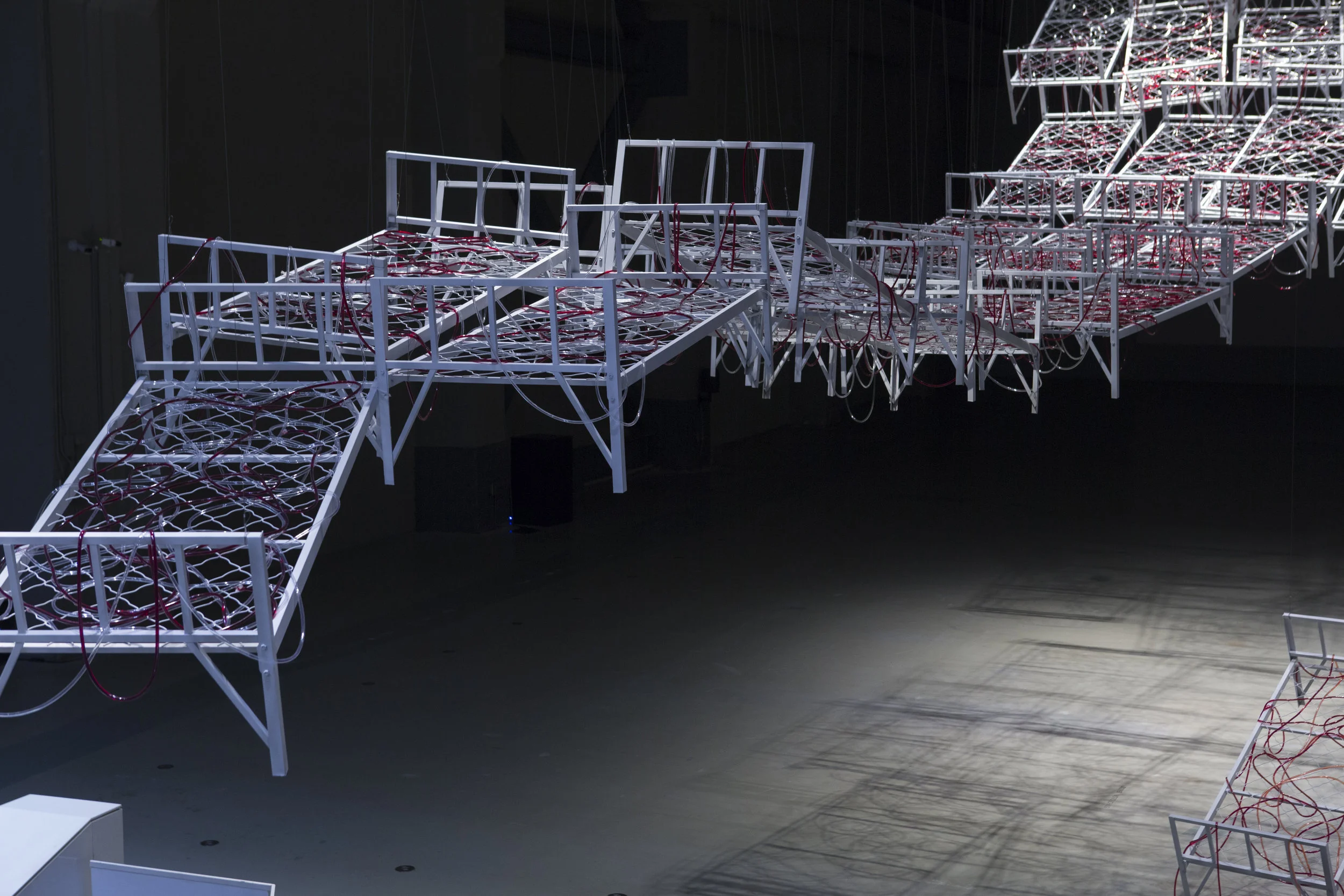 CHIHARU SHIOTA–塩田千春